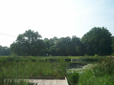 Pond at Mason District Park